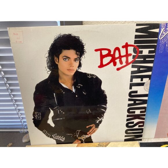 6Pcs Vinyl Records Whitney Houston, Bad by Michael Jackson, Madonna, Stevie Wand - Picture 7 of 14